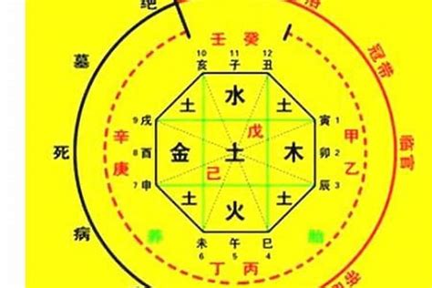 喜木命|八字喜木是什么意思